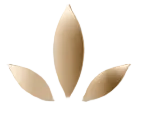 NÉVORA BEAUTY
